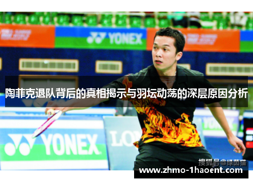 陶菲克退队背后的真相揭示与羽坛动荡的深层原因分析